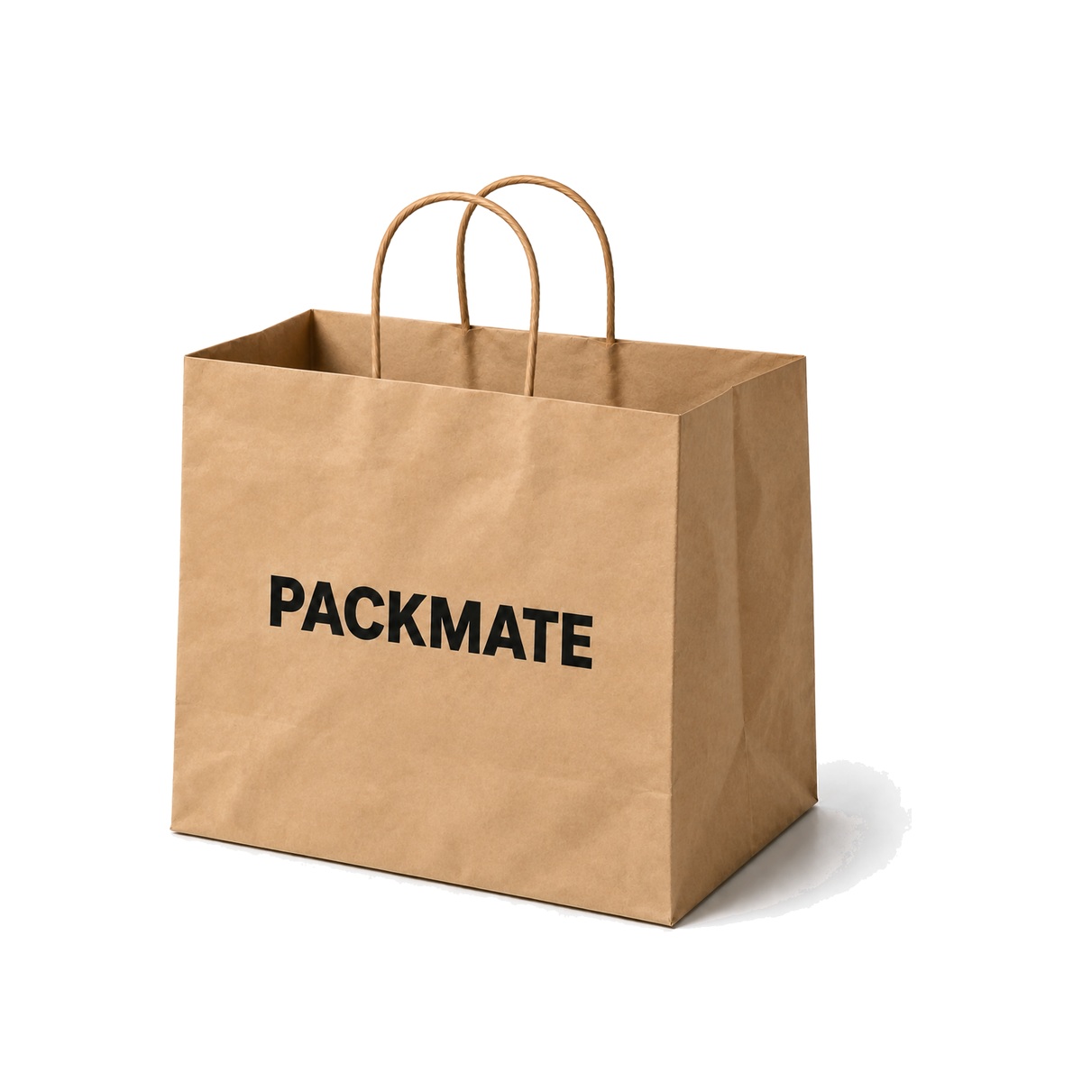 XL square kraft paper bag with twisted handle